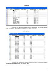 Access duomenų bazė: Degtukų parduotuvė 4 puslapis