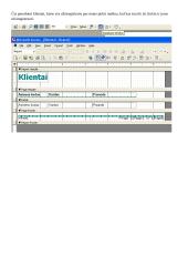 Access duomenų bazės aprašymas: parduodamų automobilių registracija 9 puslapis