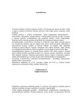 Antigrybeliniai antibiotikai 3 puslapis