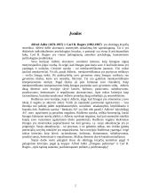 Rodžerso ir Adlerio palyginimas 9 aspektais 2 puslapis