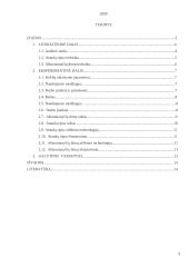 Ataudų ripso ir aštuonianyčių dimų technikos 2 puslapis