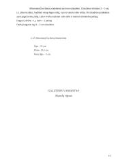 Ataudų ripso ir aštuonianyčių dimų technikos 13 puslapis