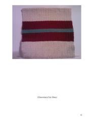 Ataudų ripso ir aštuonianyčių dimų technikos 14 puslapis