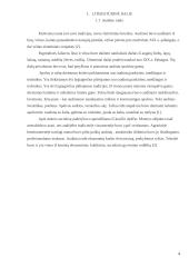 Ataudų ripso ir aštuonianyčių dimų technikos 4 puslapis