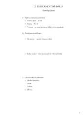 Ataudų ripso ir aštuonianyčių dimų technikos 7 puslapis