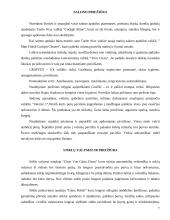 Automobilio kosmetinės medžiagos 6 puslapis