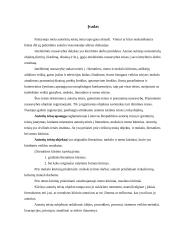 Autorinių sutarčių tema 2 puslapis