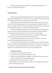 Autorinių sutarčių tema 3 puslapis