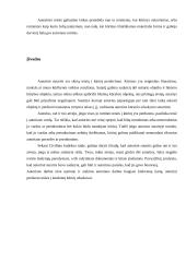 Autorinių sutarčių tema 5 puslapis