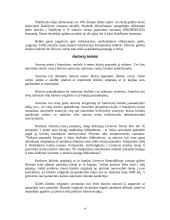 Bendroji informacijos apsauga ir autorių teisės 4 puslapis