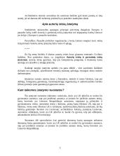 Bendroji informacijos apsauga ir autorių teisės 5 puslapis