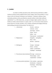 Charakterio akcentuacijų tyrimas 2 puslapis