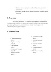 Charakterio akcentuacijų tyrimas 5 puslapis