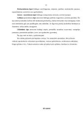 Charakterio analizė 12 puslapis