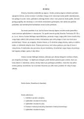 Charakterio analizė 3 puslapis