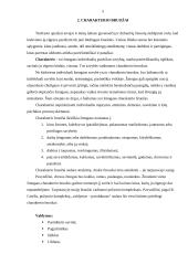 Charakterio analizė 5 puslapis