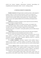 Charakterio analizė 8 puslapis