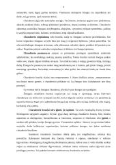 Charakterio analizė 9 puslapis