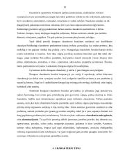 Charakterio analizė 10 puslapis