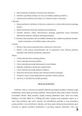 Centro ir eigulių seniūnijų veiklos analizė 3 puslapis