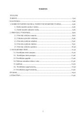 Paveldėjimo ir darbo teisės, prievolių vykdymas 2 puslapis