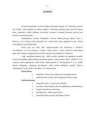 Civilinių teisių objektai ir darbo teisė 2 puslapis