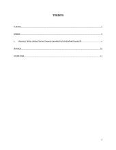 Civilinių teisių apsaugos bei gynimo samprata ir reikšmė 2 puslapis