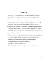 Civilinių teisių apsaugos bei gynimo samprata ir reikšmė 11 puslapis