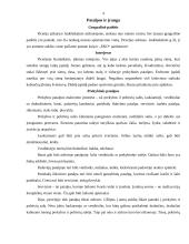 Ekskursija į piceriją "Geltonasis submarinas" 4 puslapis