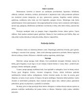 Ekskursija į piceriją "Geltonasis submarinas" 6 puslapis