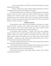 Ekskursija į piceriją "Geltonasis submarinas" 9 puslapis