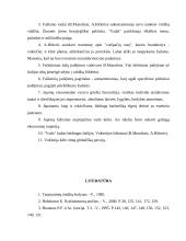 Fašistinių ideologijų susikūrimas 11 puslapis