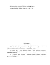 Fašistinių ideologijų susikūrimas 12 puslapis