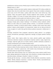 Filosofija bei mokslas Antikoje 4 puslapis