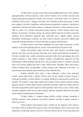 Fizinių asmenų civilinis teisnumas bei veiksnumas 3 puslapis