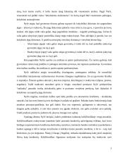 Frydricho Nyčės estetika 2 puslapis