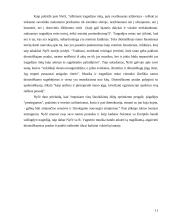 Frydricho Nyčės estetika 11 puslapis