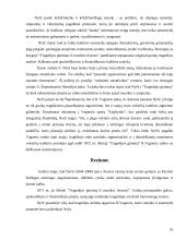 Frydricho Nyčės estetika 10 puslapis