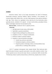 Gamybos analizė: kanceliarinių prekių gamyba 3 puslapis