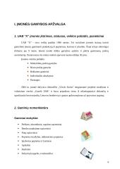 Gamybos analizė: kanceliarinių prekių gamyba 4 puslapis