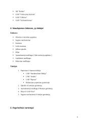 Gamybos analizė: kanceliarinių prekių gamyba 6 puslapis