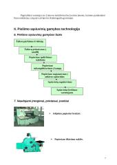 Gamybos analizė: kanceliarinių prekių gamyba 7 puslapis