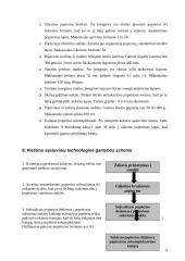 Gamybos analizė: kanceliarinių prekių gamyba 9 puslapis
