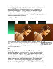 GIF, JPEG, PNG formatai. Panašumai ir skirtumai 5 puslapis