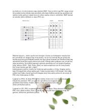 GIF, JPEG, PNG formatai. Panašumai ir skirtumai 6 puslapis