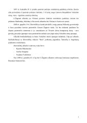 Gintaro Žagunio užkardos atsiradimo ir veiklos istorija 4 puslapis