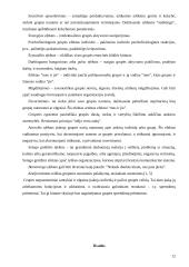 Grupės organizacijoje: grupės ir grupinių sprendimų priėmimas 12 puslapis