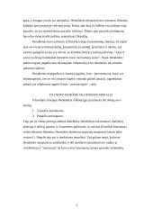 Herakleitas 3 puslapis