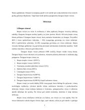 Herpio virusai 2 puslapis