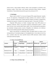 Herpio virusai 3 puslapis